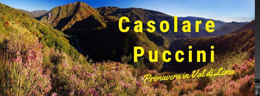 Casolare Puccini Apartment บาญญี ดี ลุกกา ภายนอก รูปภาพ